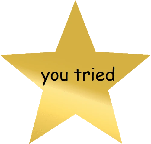 You-tried.gif